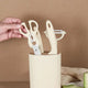 Stainless Steel Kitchen Knife and Scissors 5-Piece Set